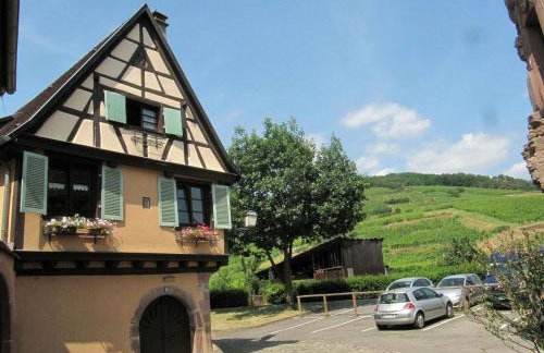 Plein Sud vue sur les Vosges et le vignoble - Foto 35