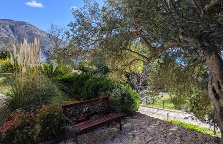 Apartments Silence - Foto 4