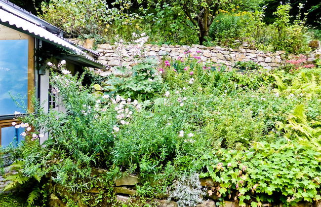 Villa Marie- Self-Catering - Foto 42