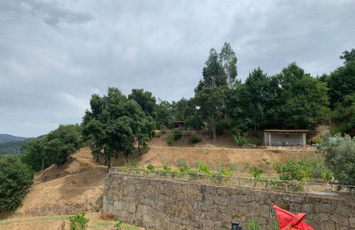 Paraiso Relax no Douro - Foto 57