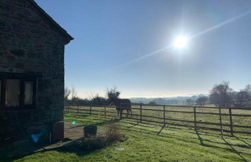 Edge Barn - Photo 37