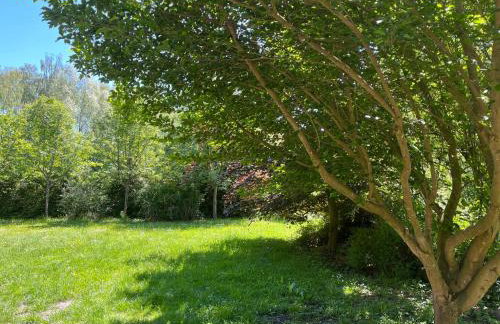 Leśna Ostoja - Foto 18