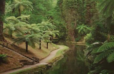 Apartamento T3 Ponta Delgada - Photo 40