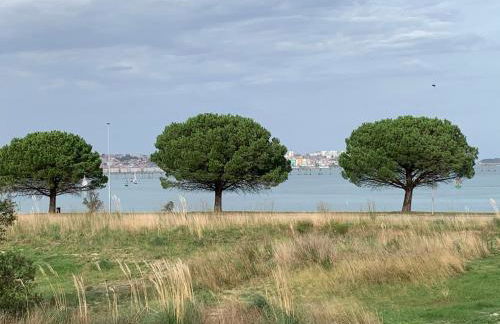 Apartamento Puerto Deportivo Marina de Santander - Foto 8