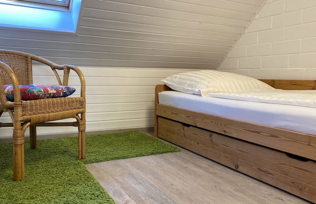 Ostseekrabbe - Foto 4