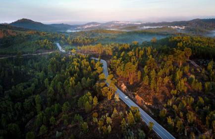 Quinta da Palhota - Foto 14