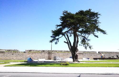 Peniche's Blue & White - Foto 28