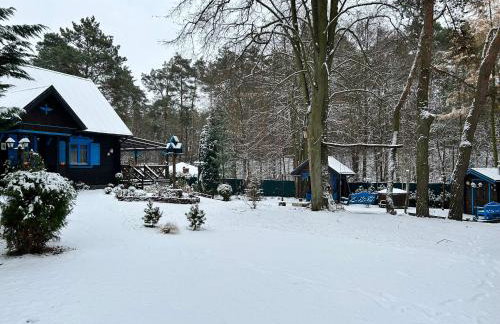 Niezapominajka - Foto 64