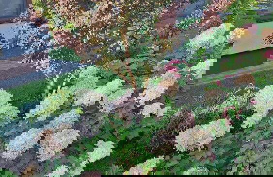 Apartment With a Swimming Pool in Stepniczka - Photo 17