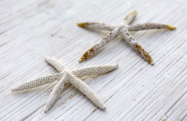 Luxury My Villa Corfu - Foto 70