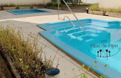 Miau de Pipa - Foto 22