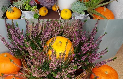 Górski Zakątek - Foto 11