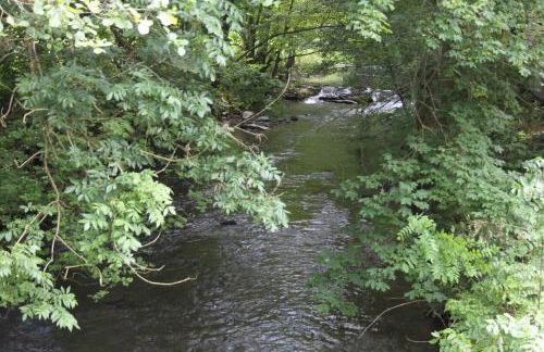 Ferienwohnungen Sonnenpfad - Foto 39