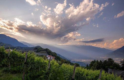 Florianshof - Foto 6