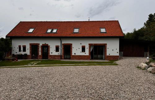 Miejski Las 8 - Foto 16