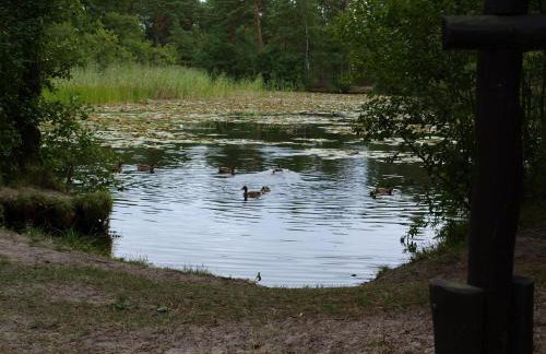 Domek Letniskowy Grażyna - Foto 48