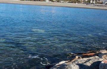 SUEÑOS DEL MAR - Foto 36