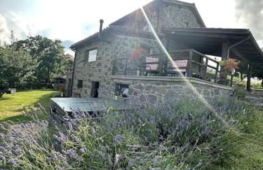 Agriturismo Antico Corniolo - Gradoli - Lago di Bolsena - Foto 26