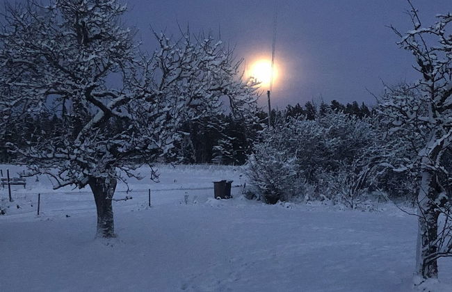 Charming 1-bed Studio in Avesta - Foto 18