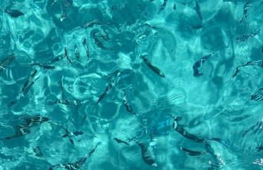 Appartement 2 CHAMBRES PISCINE TERRASSE SAINT FLORENT - Foto 27