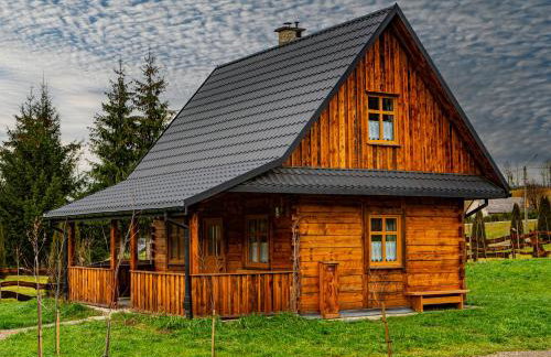 Osada Strusie Jajo w Bieszczadach - Foto 36