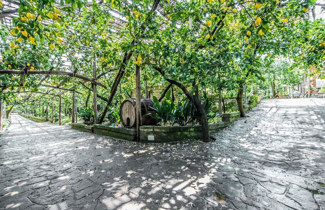 Agriturismo Il Giardino di Vigliano - Foto 55