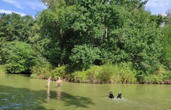 Gîte à la campagne 1 chambre Les Grandes Maisons Espace jacuzzi hammam SPA - Photo 19
