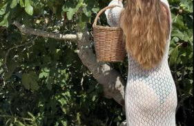 Apartamento Rural con piscina Finca Can Petit - Photo 5