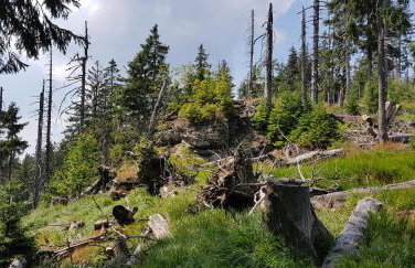 Apartment am Nationalpark Bayerwald - Foto 33