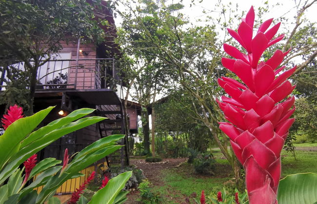 Las Cabanas - Foto 67