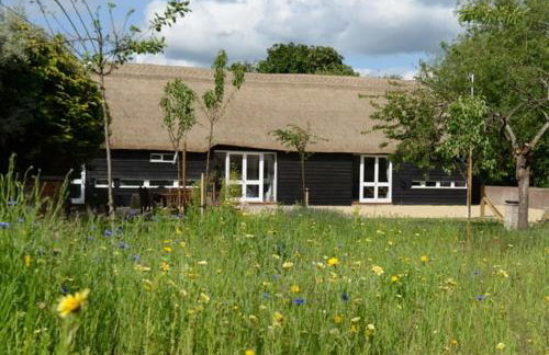 The Old Ironhouse - Foto 15