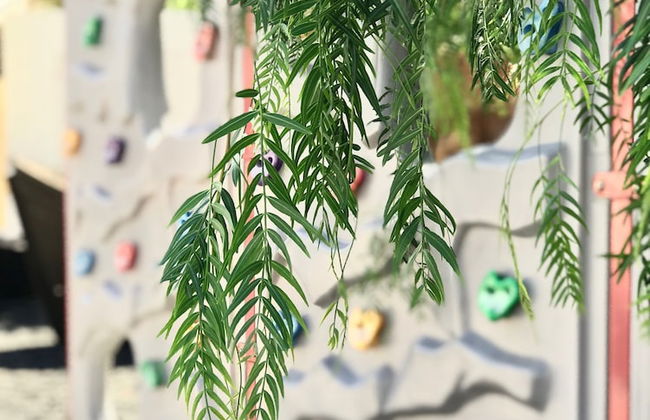 Vitalclass Lanzarote Resort - Foto 58