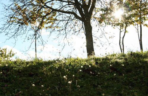 Agriturismo Florandonole - Foto 84