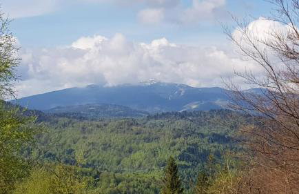 Pod Srebrzystym Świerkiem - Jacuzzi - Foto 47
