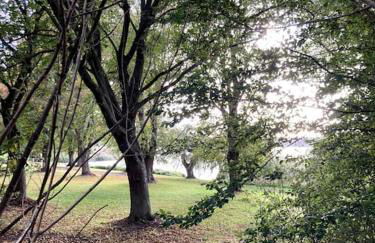 gemütliches Holzhaus am See - Foto 9