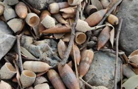 Villa Ideal - Foto 27