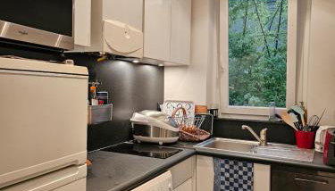 Buttes Chaumont apartement - Foto 5