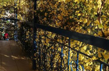 Lefki's house - Photo 29