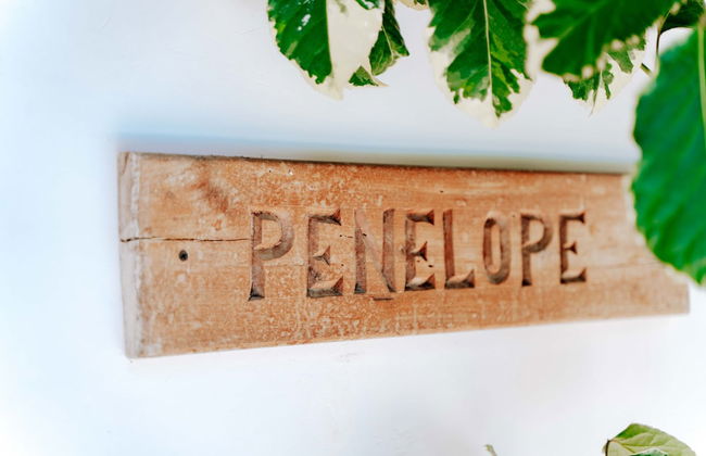 Simba Apartment Hotel - Photo 3