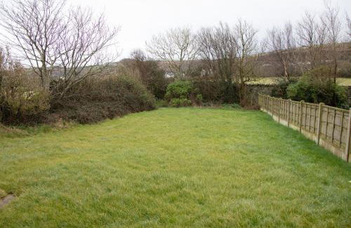 Golan - Ukc4677 - Foto 5