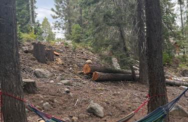 Lake Tahoe Cabin I Hammocks, Paddle Boards and Bikes - Foto 12