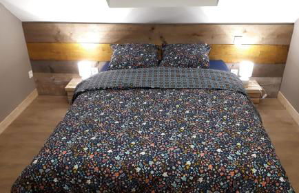 Gîte LES CHANTS DU CREPUSCULE - Foto 12