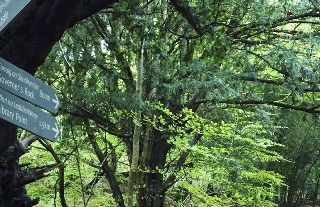 Wild Atlantic Apartments Killarney - Foto 46