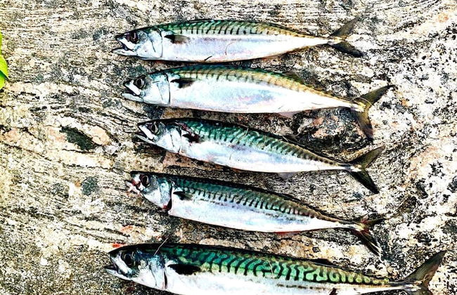 8 Person Holiday Home in Averoy-by Traum - Foto 5