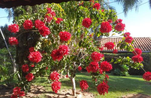 Chácara Vicente Gazzi - Foto 32