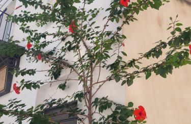 Un Raggio di Sole - Foto 26