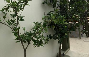 Green Olive Studios 2 - Foto 34