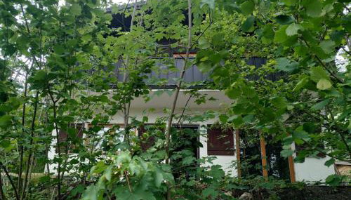 Ferienhaus Frankenglueck - Foto 5