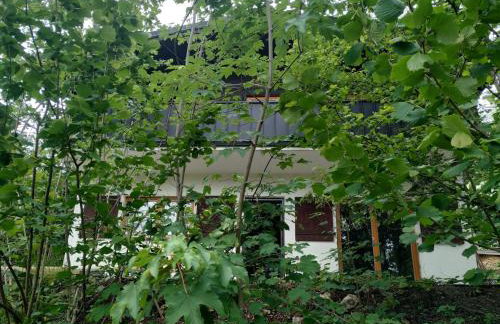 Ferienhaus Frankenglueck - Foto 5