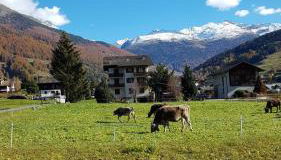 Baita nei pra - Photo 3